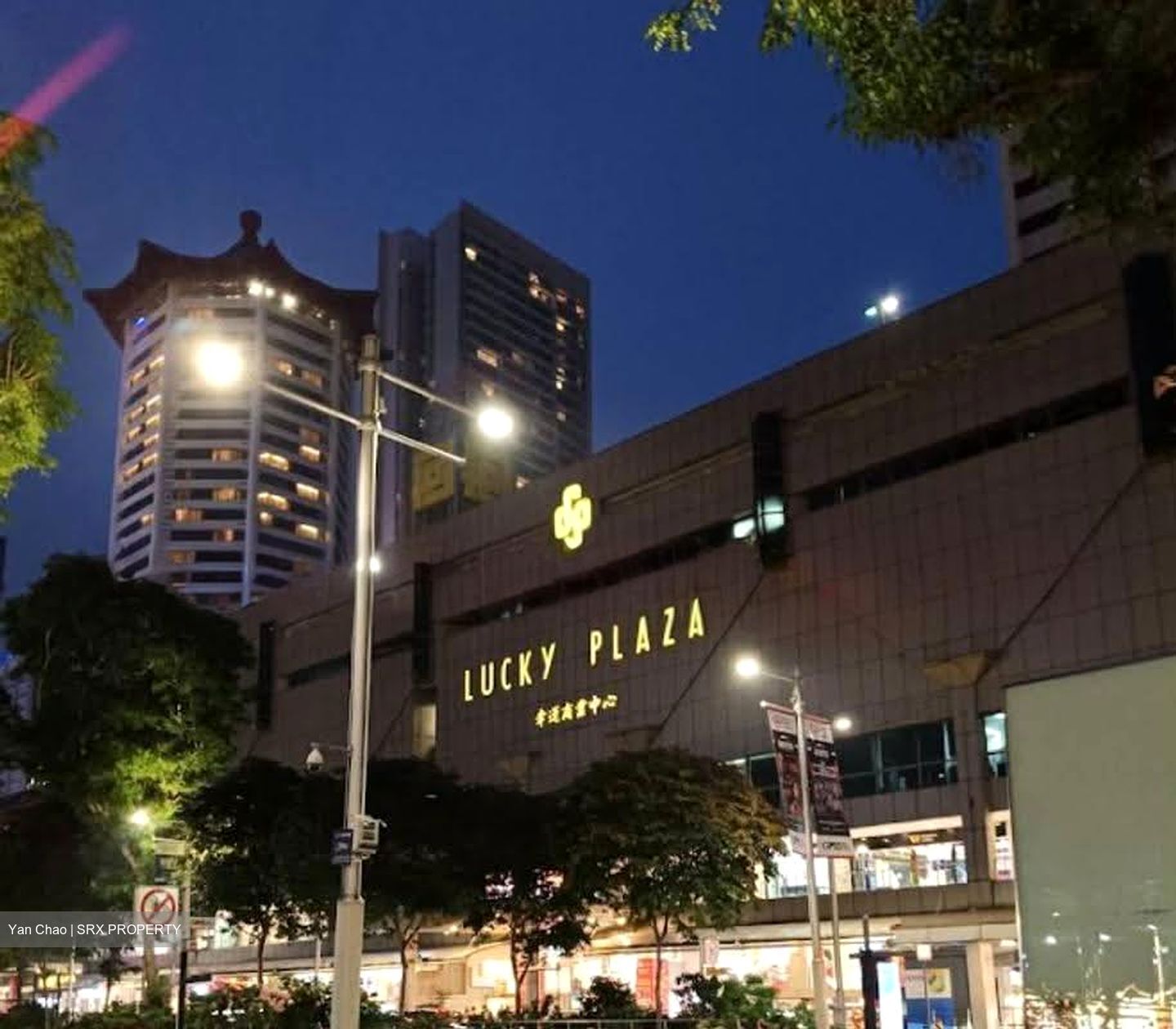 Lucky Plaza (D9), Shop House #636313601